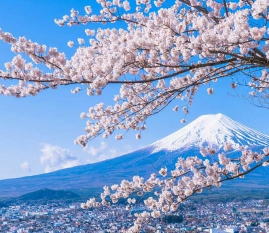 Kinh nghiệm 7 ngày du lịch Nhật Bản tự túc bạn nên biết.