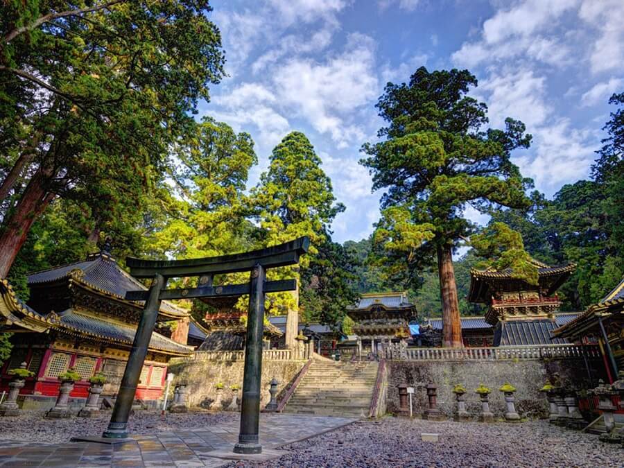 Lịch trình du lịch Nhật Bản tự túc 7 ngày bạn nên tham khảo