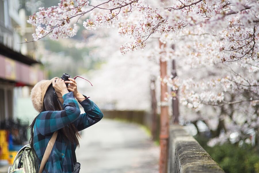 Lịch trình du lịch Nhật Bản tự túc 7 ngày bạn nên tham khảo