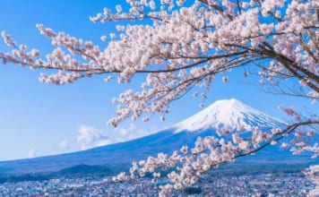 Những lưu ý khi đi du lịch Nhật Bản mà bạn nên biết